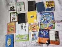 Overhead of entire assortment on blanket showing all books for count and variety
