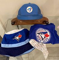 All three items together: cap-shaped wall hanger, bucket hat, dog shirt