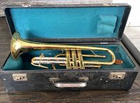 Trumpet in open case, full view