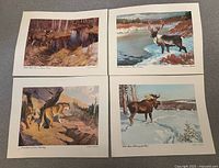 Four prints featuring deer at stream, caribou in winter river, cougar with cubs, moose in snow