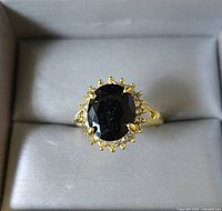 Gold-plated halo ring with black oval center stone in presentation box