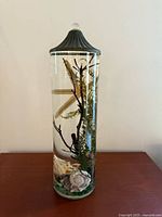 Front of candle showing starfish, shells, foliage and lid