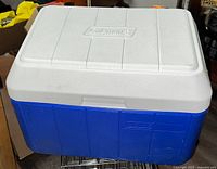 Top view showing white lid with Coleman logo and blue body