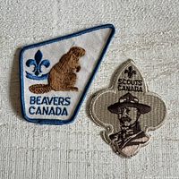 Front view of both patches showing embroidery details and text