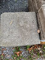 Top view of a single concrete wall capstone showing surface texture and size