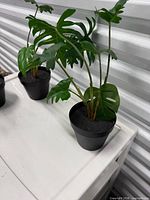 Two artificial plants on white surface showing foliage and pots