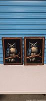 Front view of both framed velvet owl artworks