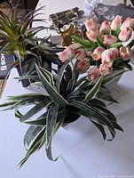 All three faux plants grouped on table