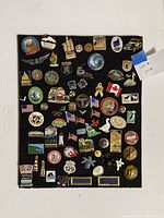 Full view of black board with entire assortment of pins
