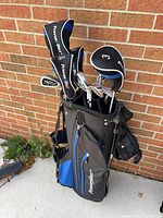 Golf bag side view with headcovers and irons