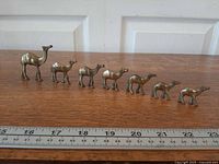 Seven brass camel figurines lined up with ruler for scale