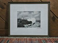 Full view of framed print showing image, mat and frame