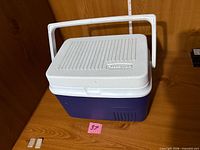 Front view of small Rubbermaid cooler with handle down