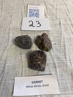Three raw garnet stones with identifying card