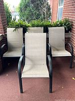 Front view of four matching sling chairs
