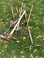 Pile of assorted long-handle garden tools on grass