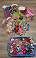 Overall view of dolls, furniture pieces and accessory tote