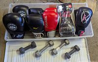 Overview of five glove pairs, two dumbbell pairs and storage bin