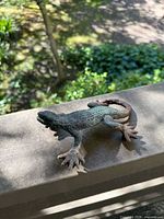 Top view showing full lizard shape, textured surface, curled tail
