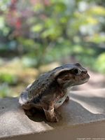 Front three-quarter view of porcelain frog figurine