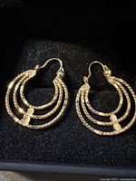 pair of gold triple-hoop earrings in case