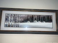 Front view showing entire framed print, image content, mats, frame finish