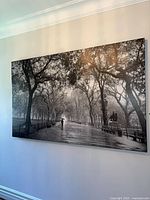 Full view of canvas wall art hung on wall