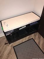 Full view of storage bench with cushion