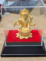 Statue in acrylic display box on velvet base, front view