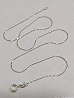 Full view of entire silver chain laid out