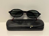 Front view of Ray-Ban sunglasses on case