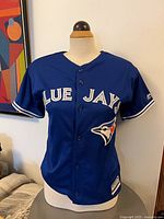Front view of blue Blue Jays youth jersey on form