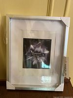 Front view of sealed Frameworks silver frame with white mat and corner protectors