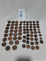 Full overhead view of all coins laid out in rows under lot card