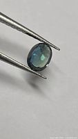 Oval blue-green sapphire held by tweezers, showing facets and color