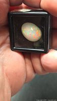 Opal cabochon in display box showing multicolour play-of-colour