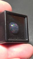 Black opal cabochon in display case showing play of color