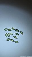 Group of 12 green marquise sapphires on light background
