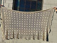 Full view of crocheted coverlet hanging, showing overall size and pattern
