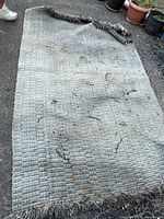 Entire rug laid out flat displaying overall size, woven texture, fringe, colour, and visible wear