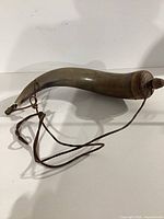 Full view of horn showing shape, sling attached