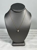 Full view of necklace on display bust