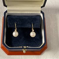 Both earrings in presentation box showing overall design