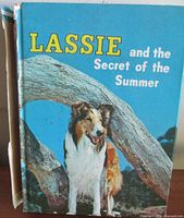 Front cover showing title and illustration