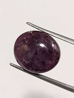 Front view of oval cabochon star ruby held by tweezers