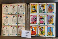 Open binder showing first several character biography cards and character image cards