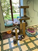 Cat tree, beds, toys and feeders grouped by window