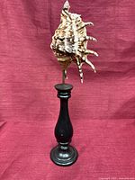 Full view of ebonized wood stand with mounted spiny seashell against red backdrop