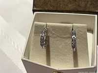 Earrings in display box showing stone detail and hinged design