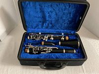 Clarinet parts in blue-lined case